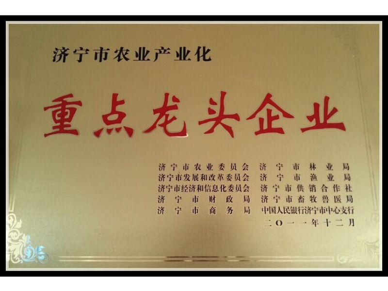 榮譽資質(zhì)
